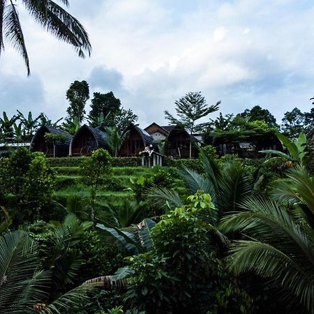 Omah Bapak Ijen Eco House Hotel Licin Bagian luar foto