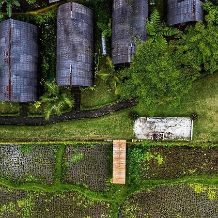 Omah Bapak Ijen Eco House Hotel Licin Bagian luar foto