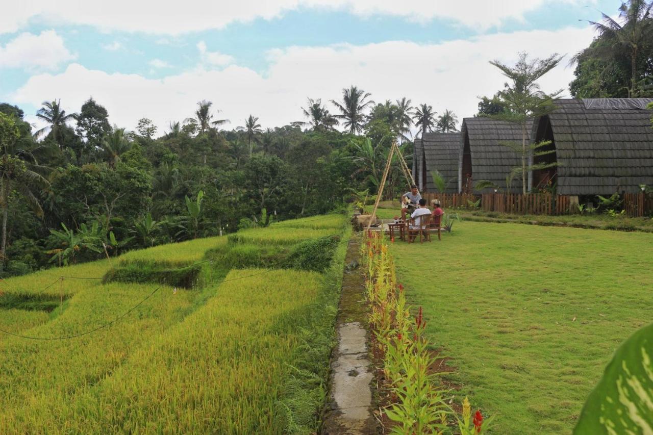 Omah Bapak Ijen Eco House Hotel Licin Bagian luar foto