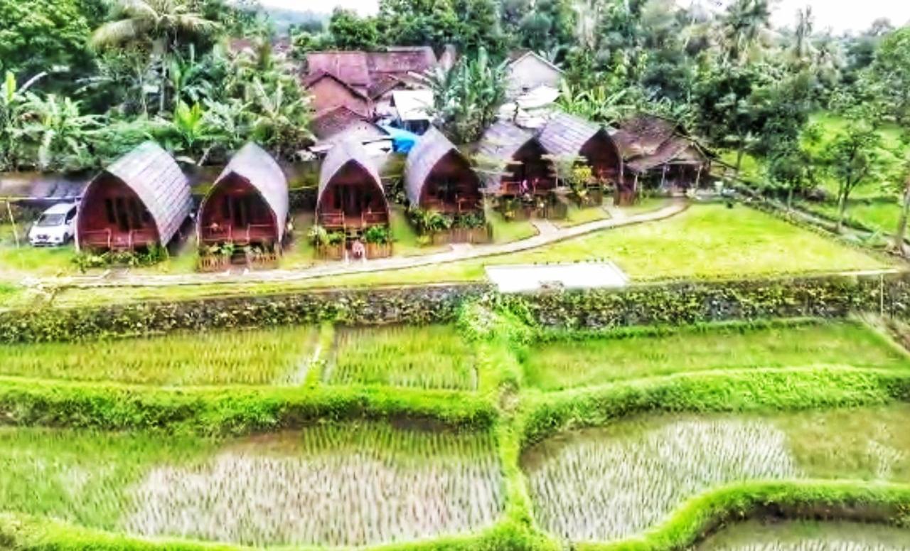 Omah Bapak Ijen Eco House Hotel Licin Bagian luar foto