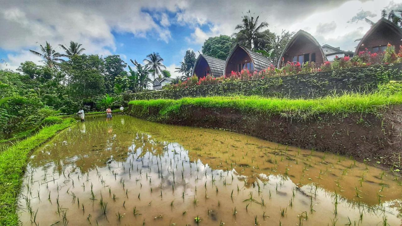 Omah Bapak Ijen Eco House Hotel Licin Bagian luar foto