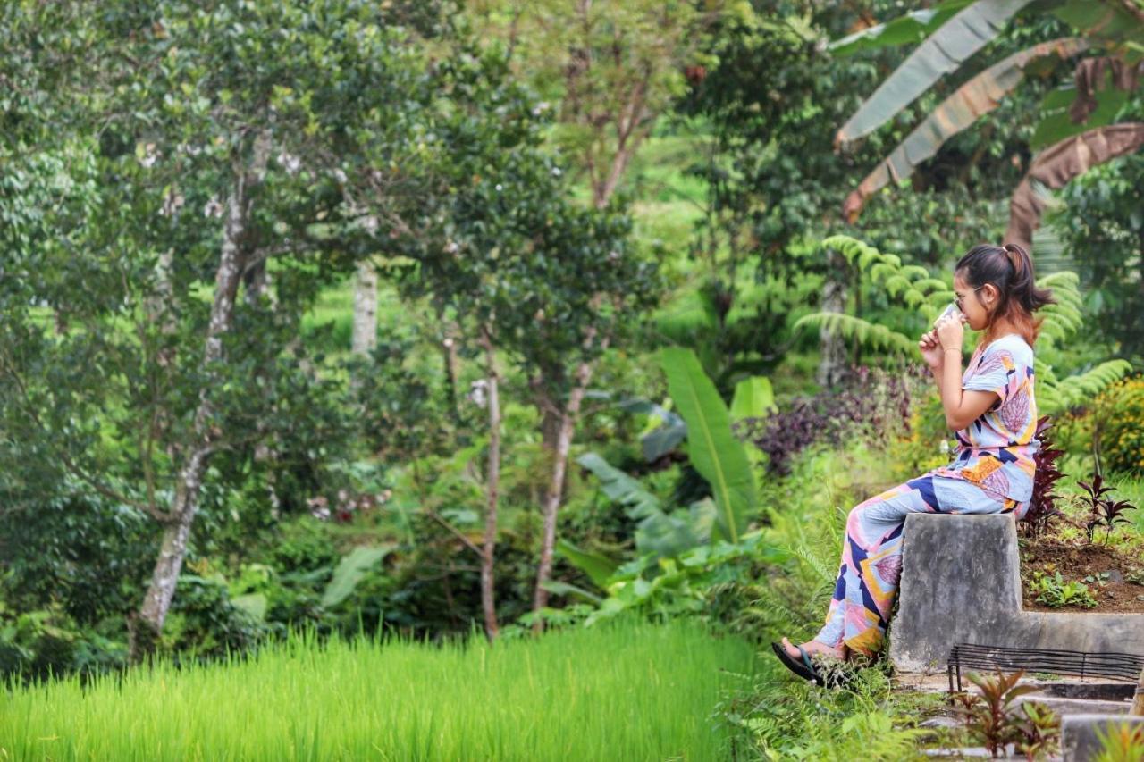 Omah Bapak Ijen Eco House Hotel Licin Bagian luar foto