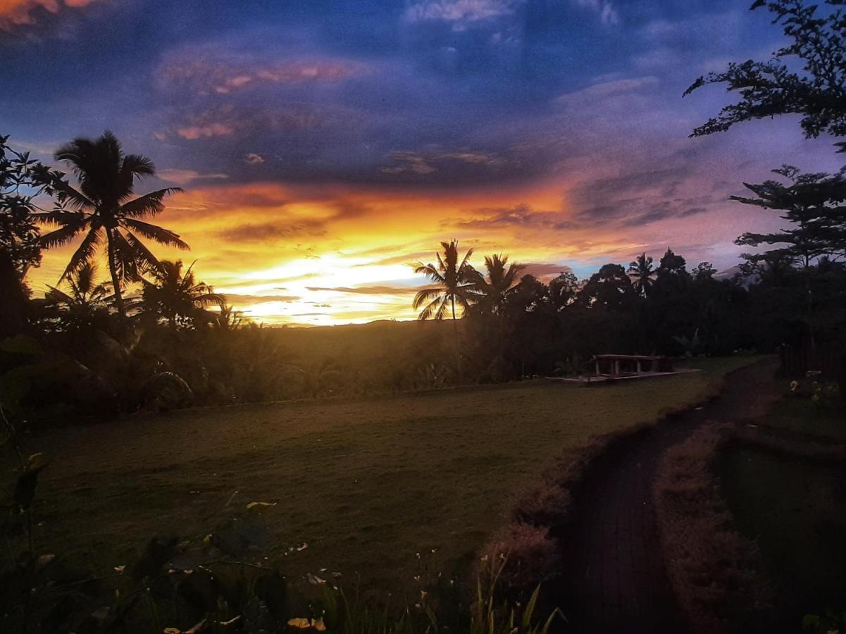 Omah Bapak Ijen Eco House Hotel Licin Bagian luar foto