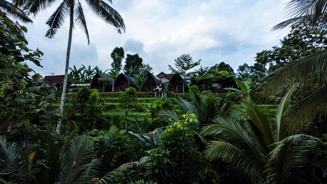 Omah Bapak Ijen Eco House Hotel Licin Bagian luar foto