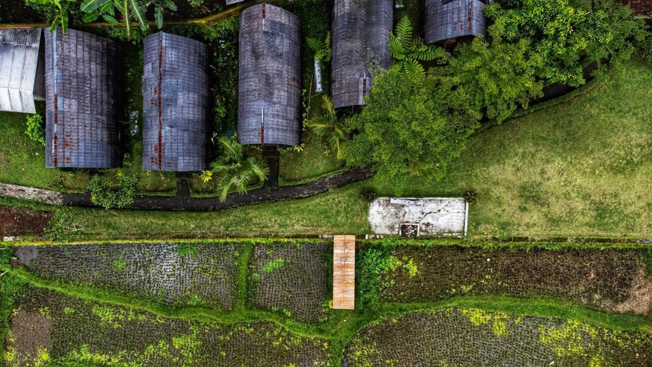 Omah Bapak Ijen Eco House Hotel Licin Bagian luar foto