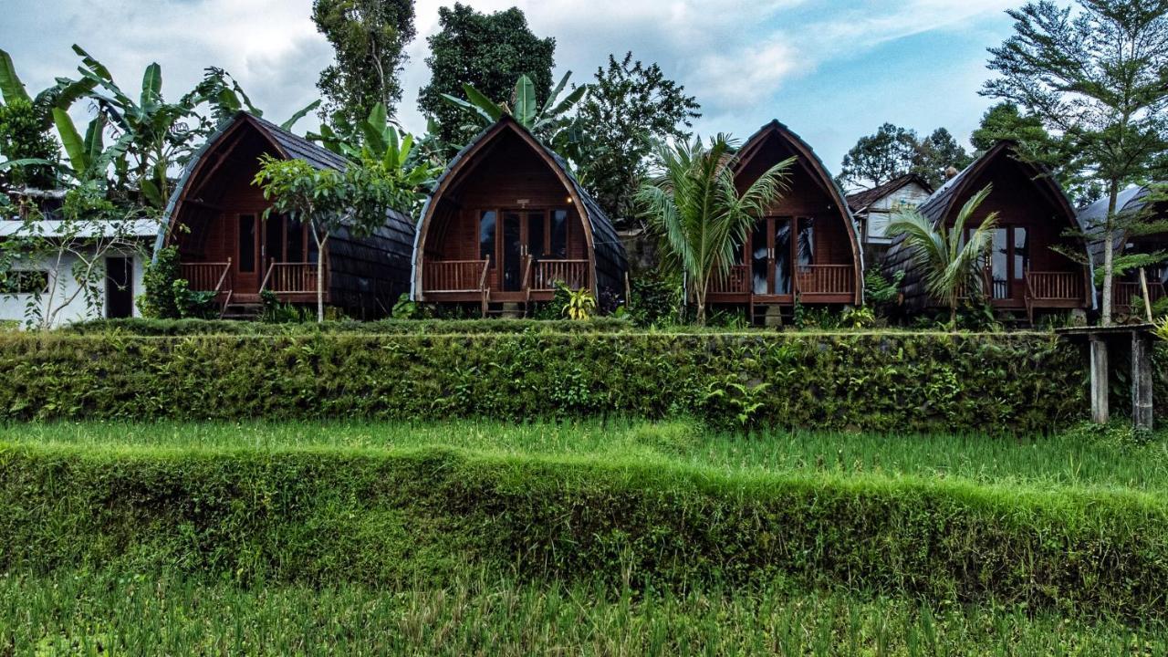 Omah Bapak Ijen Eco House Hotel Licin Bagian luar foto